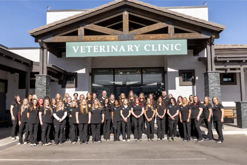 Team image outside of vet hospital in Queen Creek, AZ